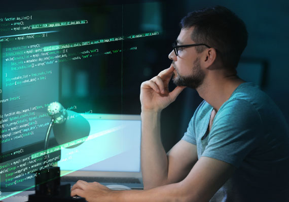 Software Development / System Integration