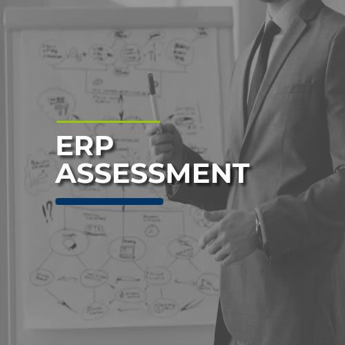 ERP Assessment